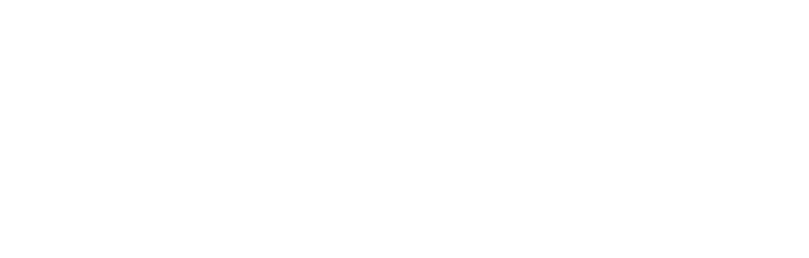 Vivacom logo White